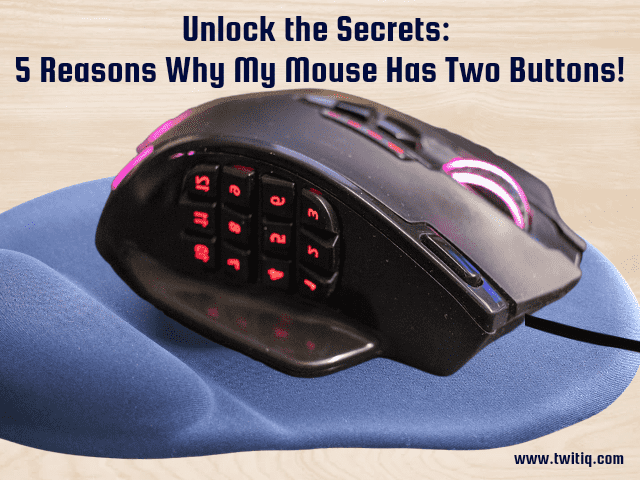 Why My Mouse Has Two Buttons